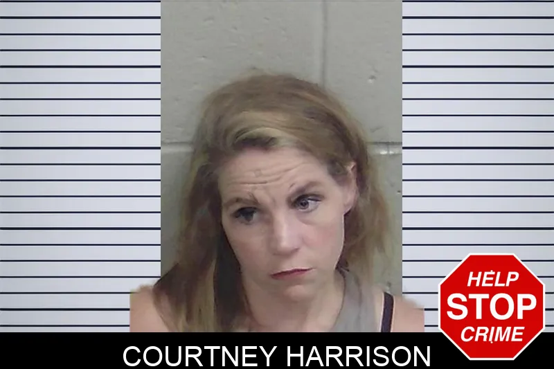 Courtney Harrison mugshot