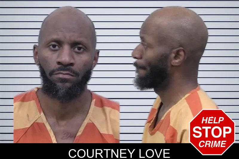 Courtney Love mugshot