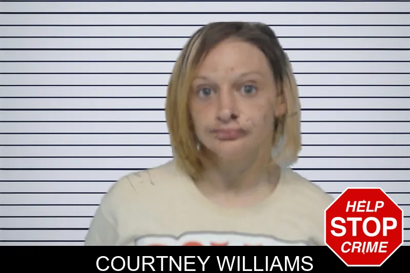 Courtney Williams mugshot – Bibb County , Georgia Courtney Williams mugshot