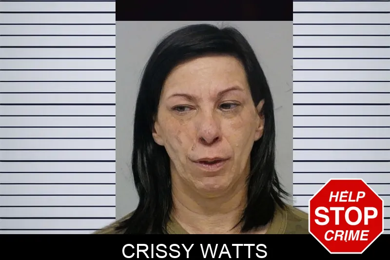 Crissy Watts mugshot