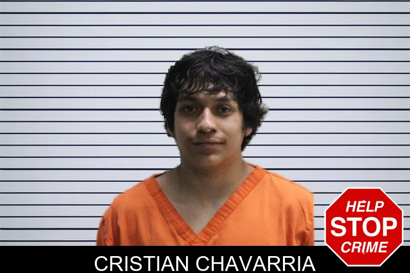 Cristian Chavarria mugshot