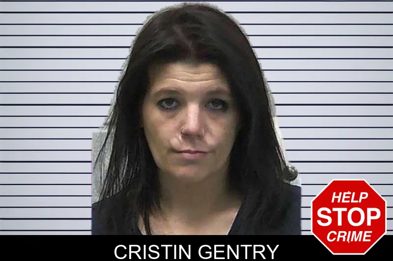 Cristin Gentry mugshot