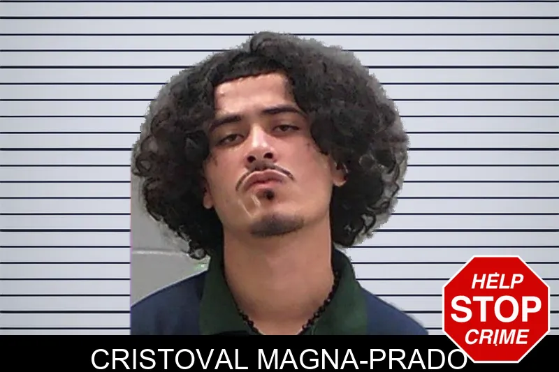 Cristoval Magna-Prado mugshot – Baldwin County , Georgia Cristoval Magna-Prado mugshot