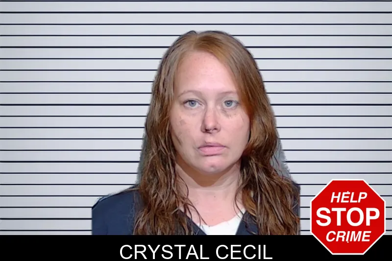 Crystal Cecil mugshot