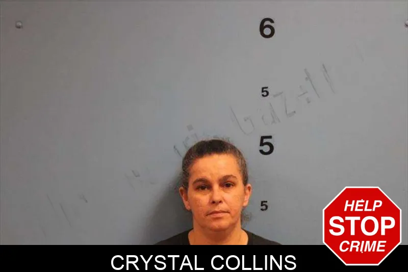 Crystal Collins mugshot – Monroe County , Georgia Crystal Collins mugshot