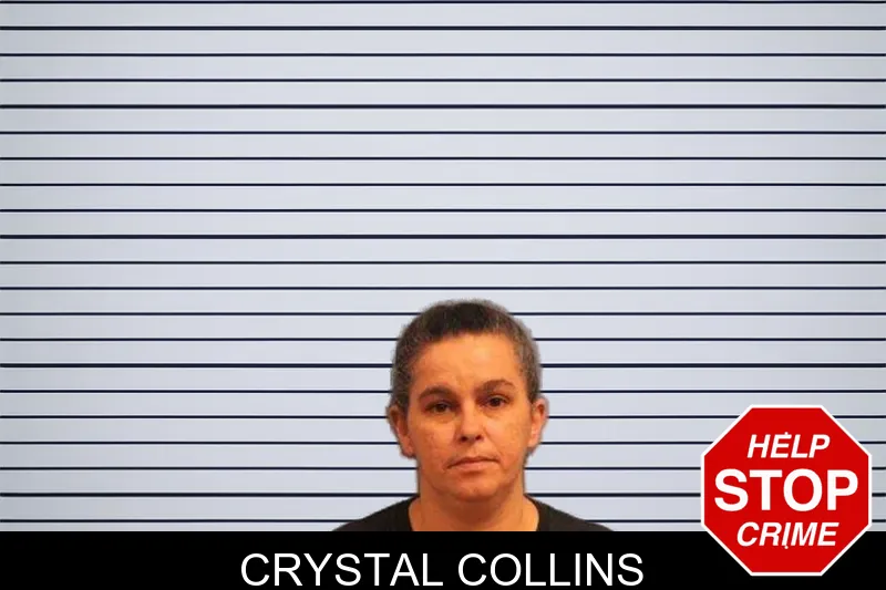 Crystal Collins mugshot – Monroe County , Georgia Crystal Collins mugshot