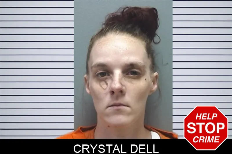 Crystal Dell mugshot