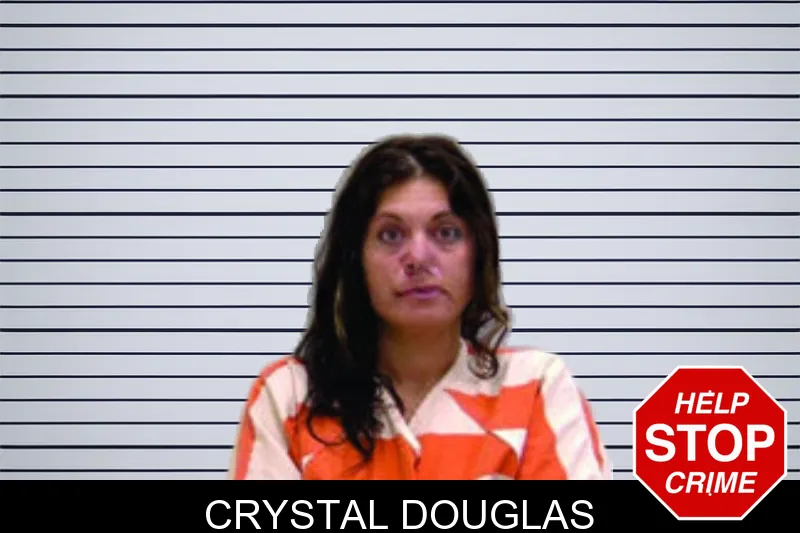 Crystal Douglas mugshot – Bartow County , Georgia Crystal Douglas mugshot