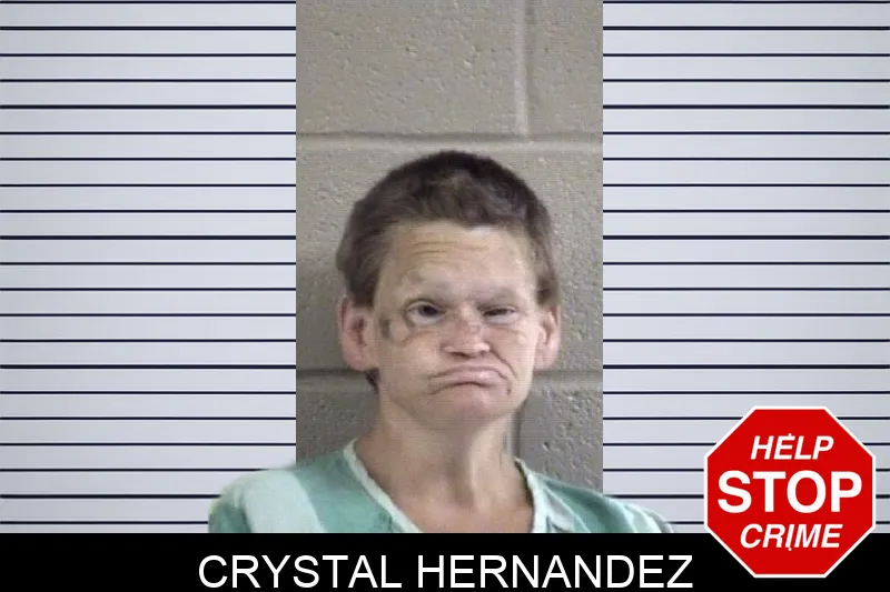 Crystal Hernandez mugshot