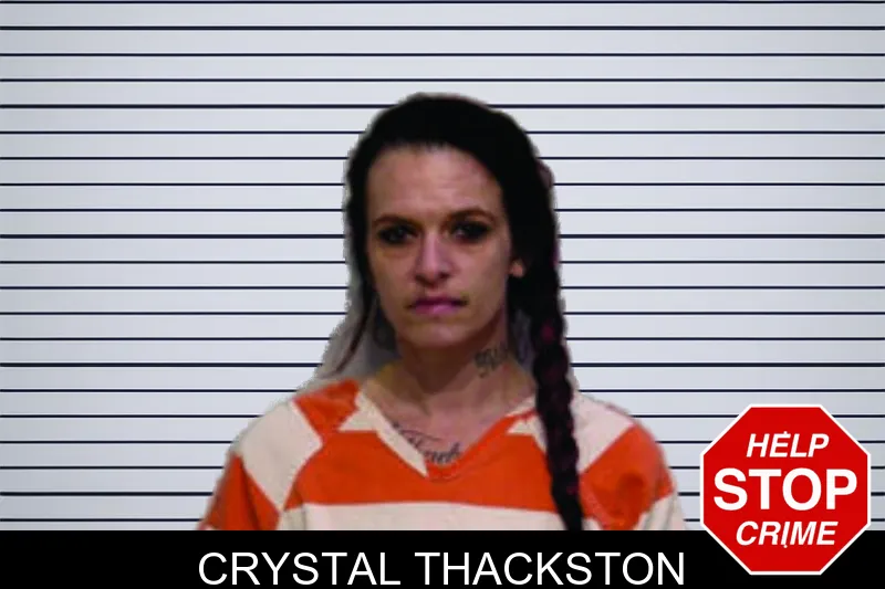 Crystal Thackston mugshot – Bartow County , Georgia Crystal Thackston mugshot