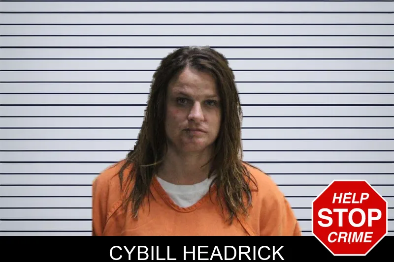 Cybill Headrick mugshot