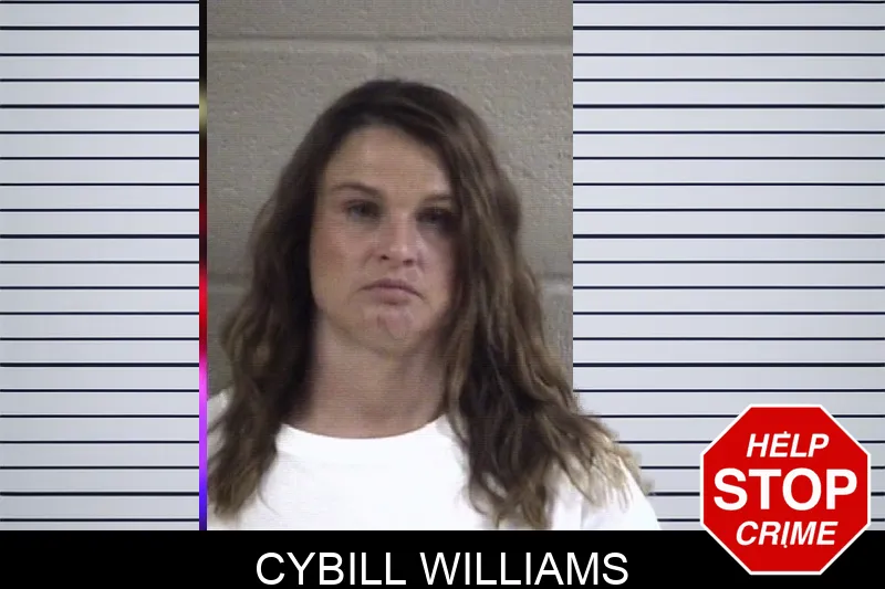 Cybill Williams mugshot