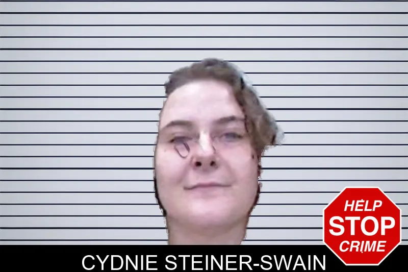 Cydnie Steiner-Swain mugshot – Screven County , Georgia Cydnie Steiner-Swain mugshot