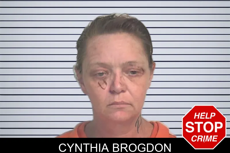 Cynthia Brogdon mugshot