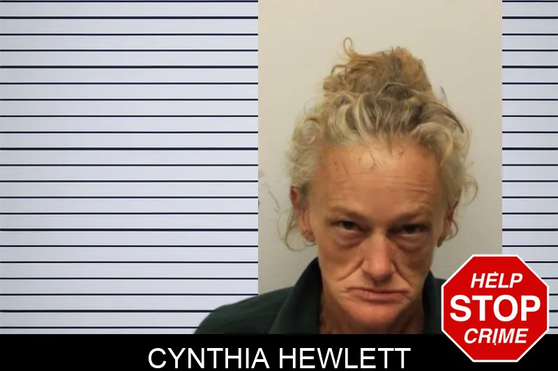 Cynthia Hewlett mugshot