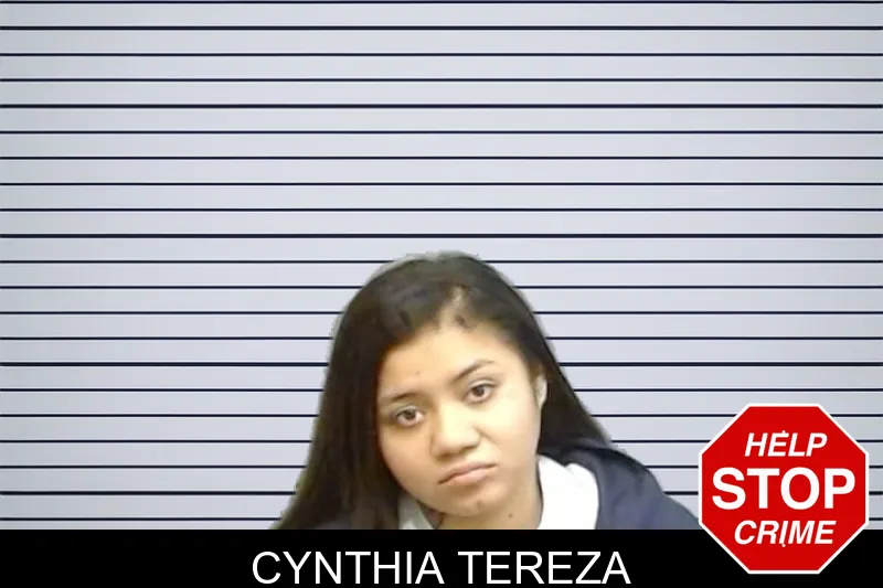 Cynthia Tereza mugshot – Fulton County , Georgia Cynthia Tereza mugshot
