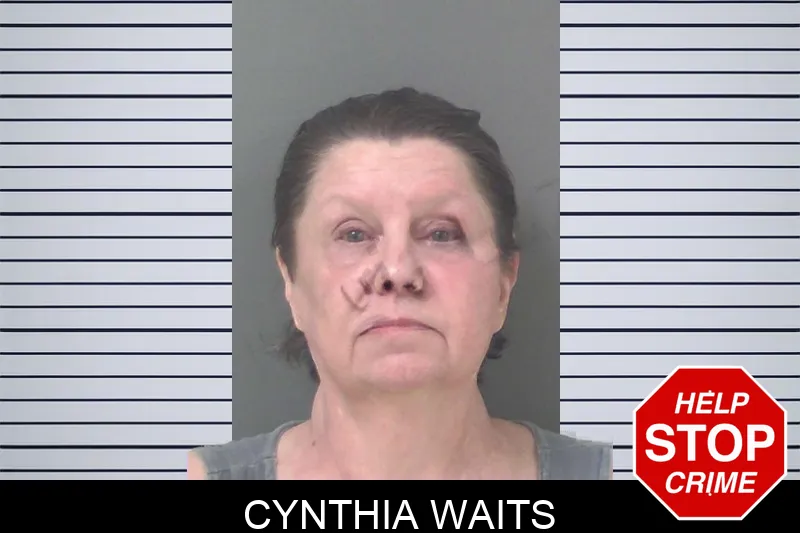 Cynthia Waits mugshot