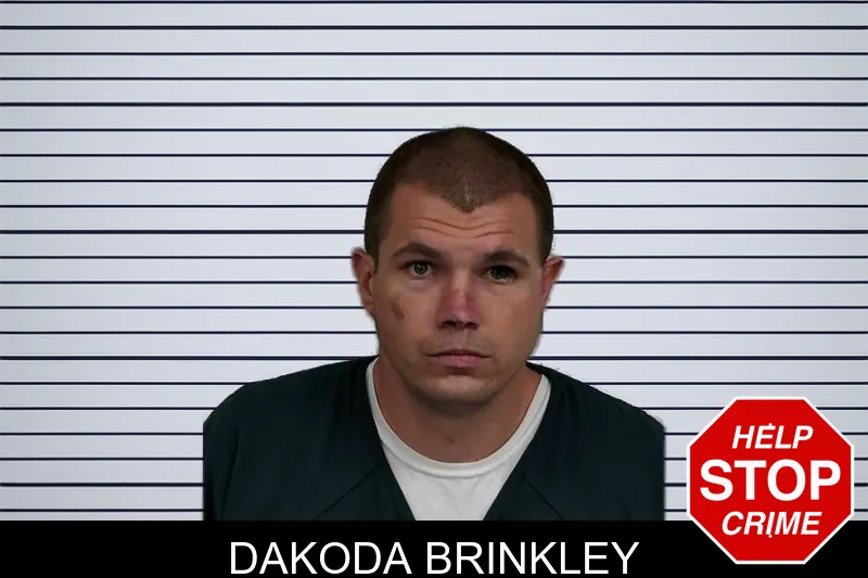 Dakoda Brinkley mugshot