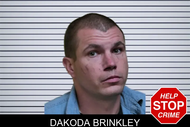 Dakoda Brinkley mugshot