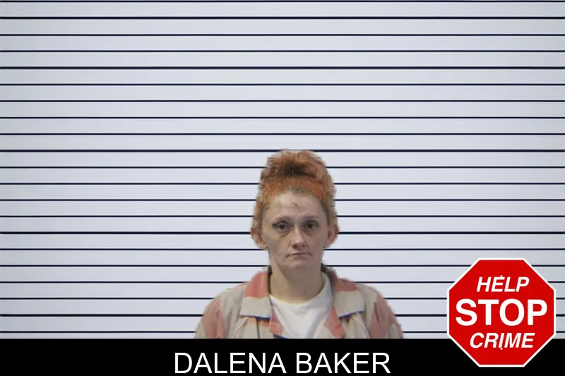 Dalena Baker mugshot