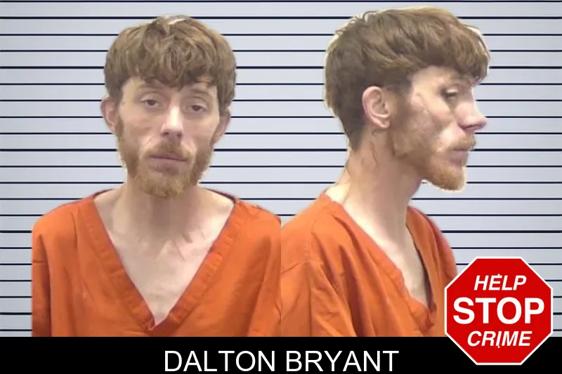 Dalton Bryant mugshot