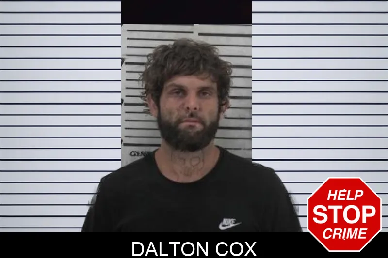 Dalton Cox mugshot