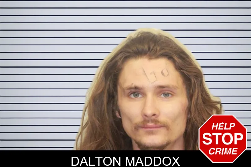 Dalton Maddox mugshot