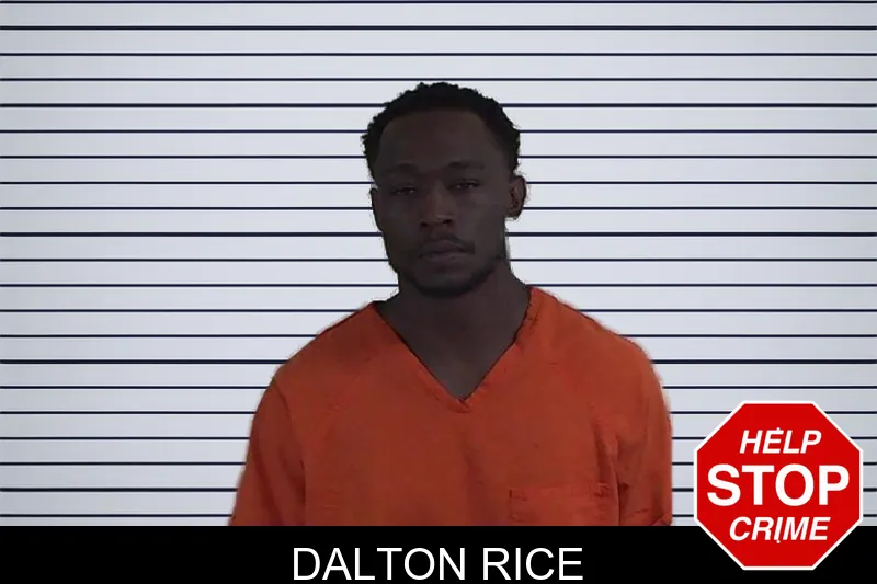 Dalton Rice mugshot