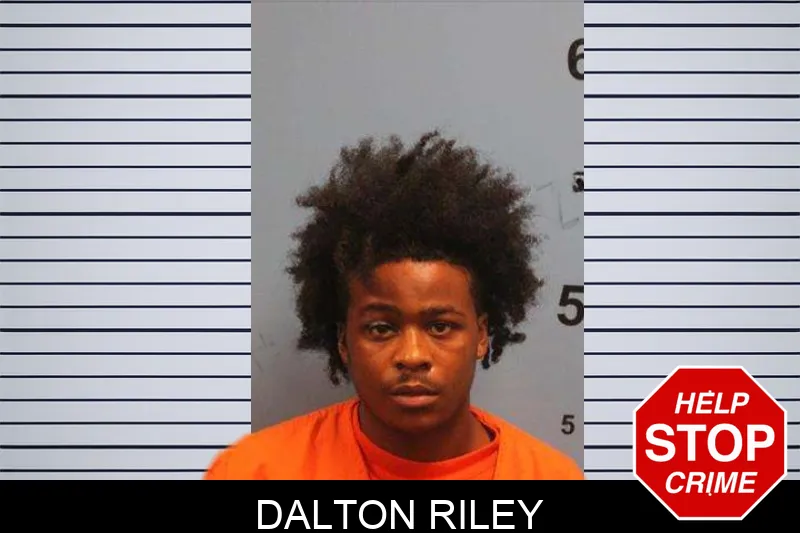 Dalton Riley mugshot