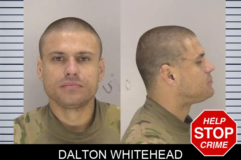 Dalton Whitehead mugshot