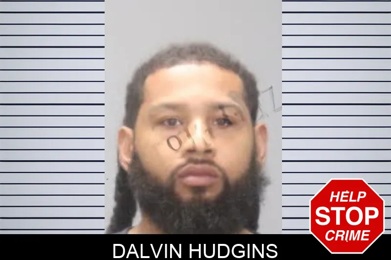 Dalvin Hudgins mugshot