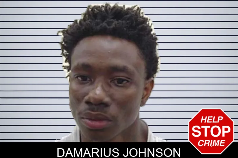 Damarius Johnson mugshot