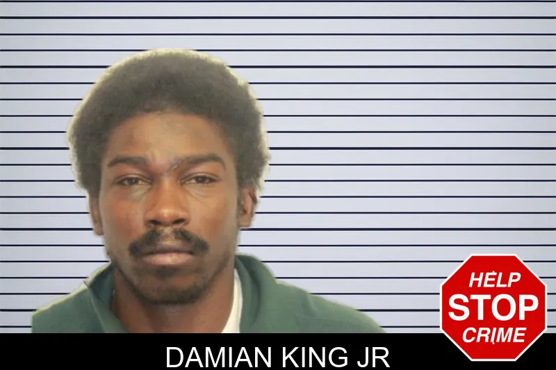 Damian King Jr mugshot