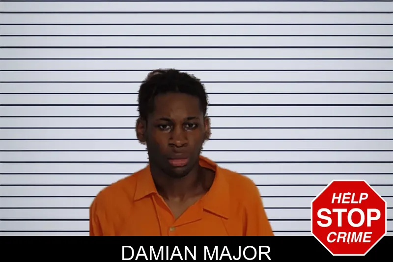 Damian Major mugshot