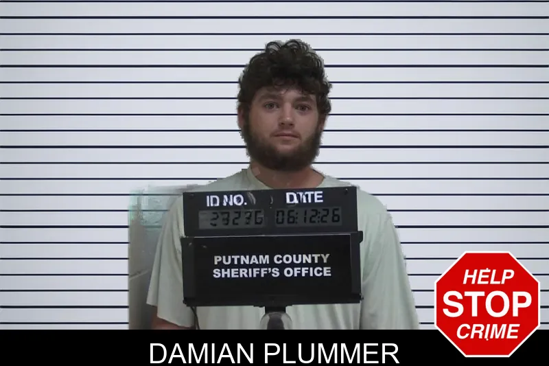 Damian Plummer mugshot