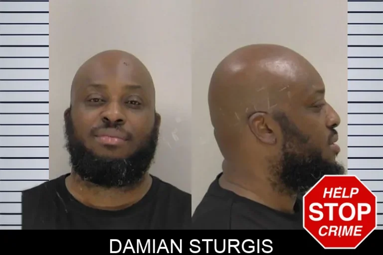 Damian Sturgis