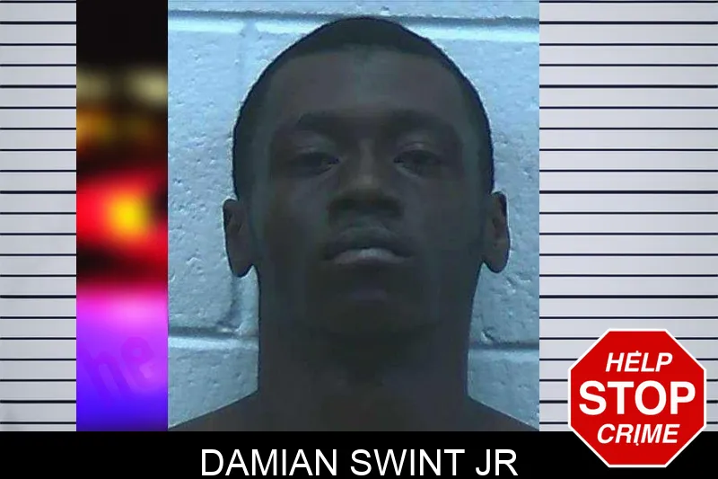Damian Swint Jr mugshot