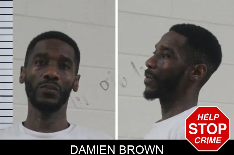 Damien Brown mugshot