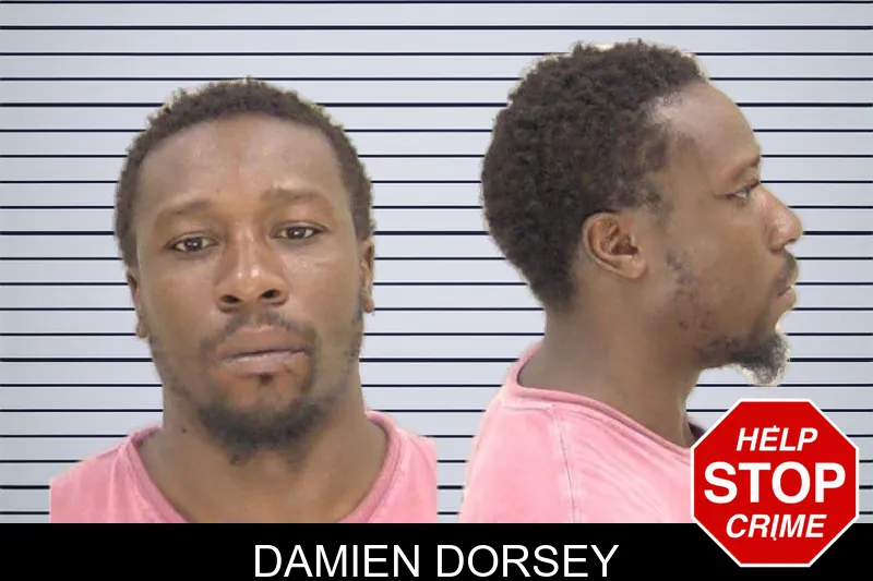 Damien Dorsey mugshot