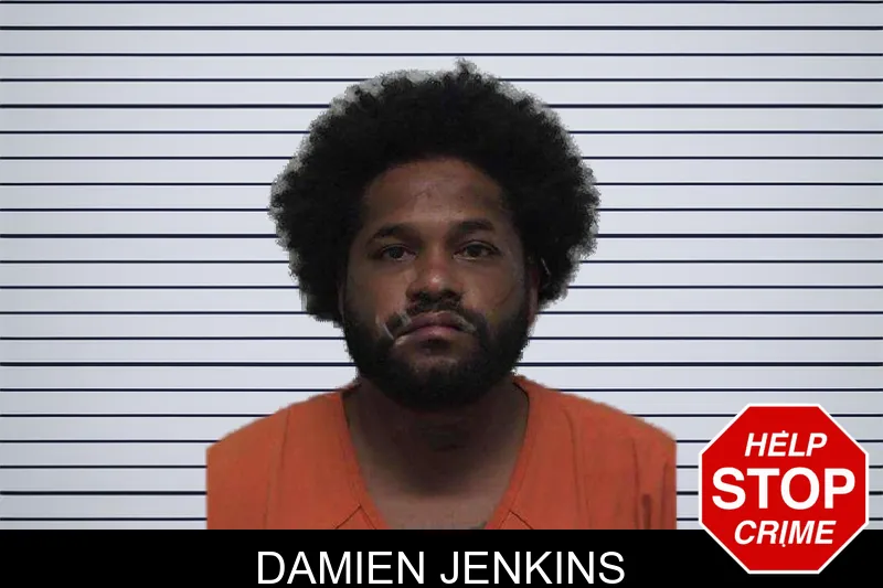 Damien Jenkins mugshot