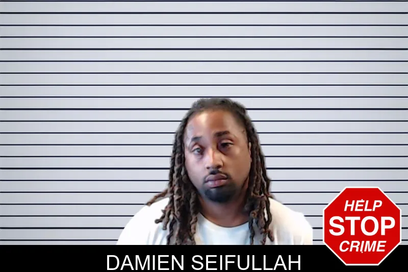 Damien Seifullah mugshot – DeKalb County , Georgia Damien Seifullah mugshot
