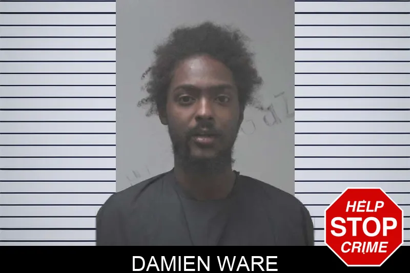 Damien Ware mugshot