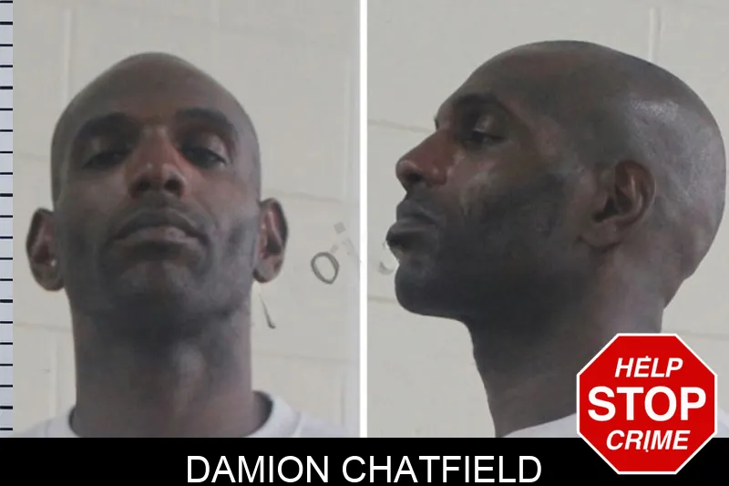 Damion Chatfield mugshot