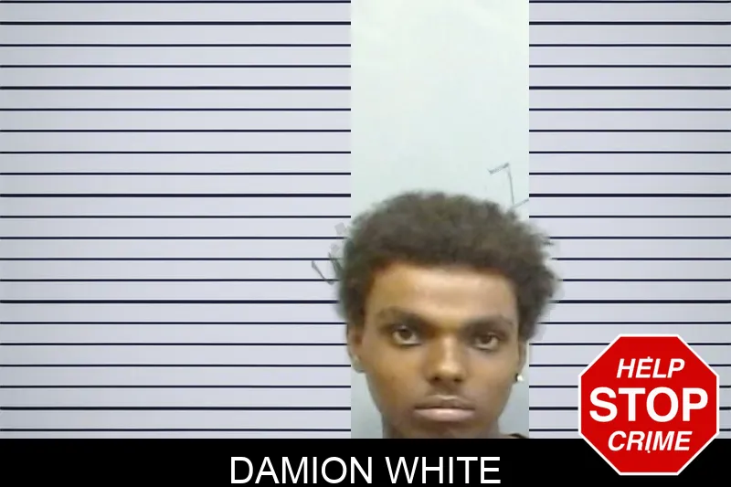 Damion White mugshot