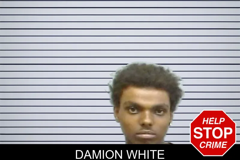 Damion White mugshot