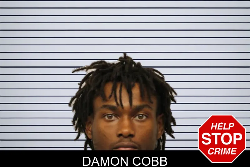 Damon Cobb mugshot