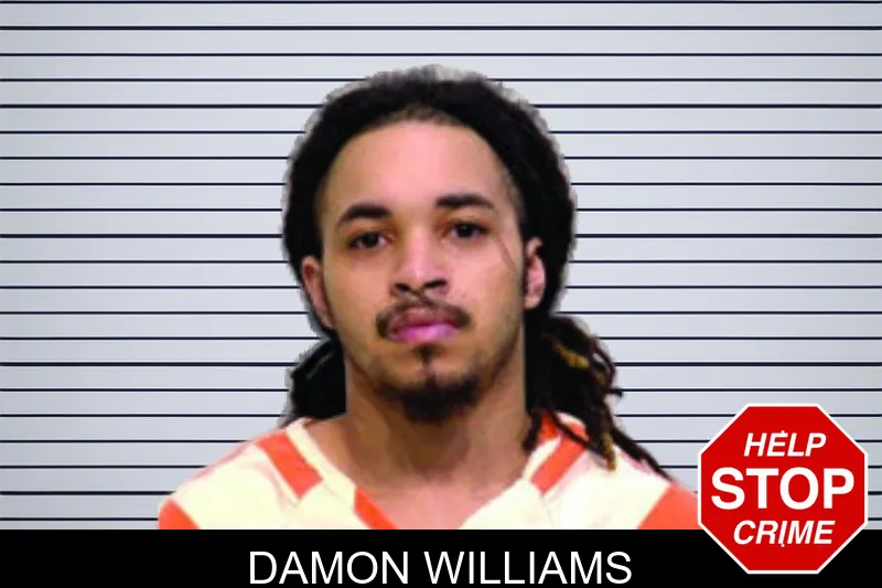 Damon Williams mugshot