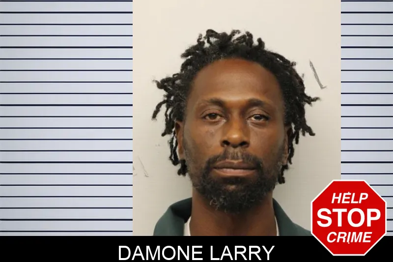 Damone Larry mugshot – Chatham County , Georgia Damone Larry mugshot