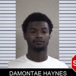 Damontae Haynes mugshot