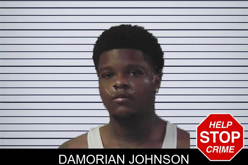Damorian Johnson mugshot